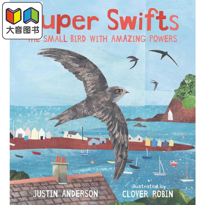 超级雨燕英文原版进口绘本