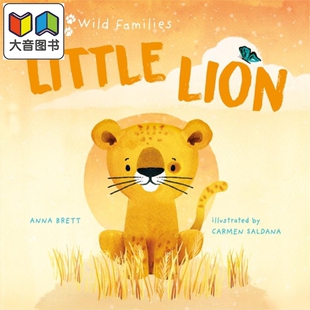 Little Lion A Day in the Life of a Lion Cub 小狮子的一天 英文原版儿童绘本 动物及动物故事主题 0到3岁 大音