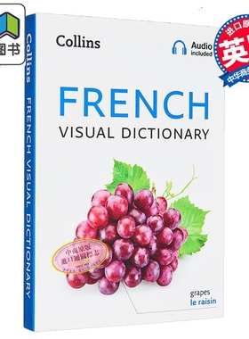 Collins French Visual Dictionary 柯林斯法语图解词典（带音频）英文原版  Collins 大音