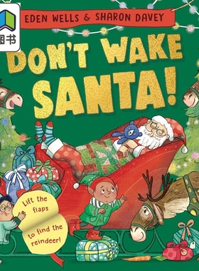 Don't Wake Santa 别吵醒圣诞老人 英文原版进口图书儿童绘本 故事图画书 大音