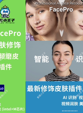 AE/PR智能皮肤磨皮瑕疵去除美颜中文版插件FacePro V1.1.0 Winmac
