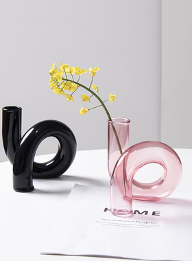 SHPIN JY异形玻璃花瓶北欧风饰品不规则创意插花家居客厅花器摆件