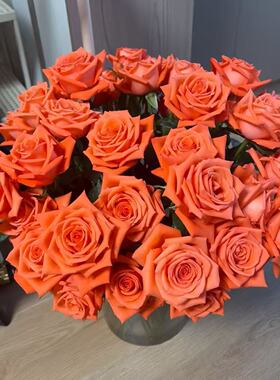 云南基地批发现採新鲜 粉色玫瑰花束鲜花家庭花店水养鲜花