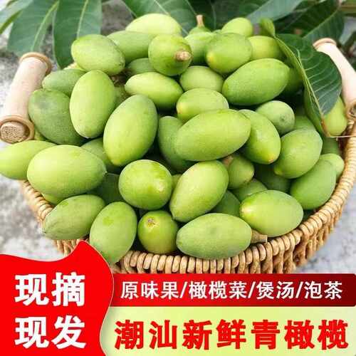 新鲜青橄榄当季潮汕特产水果煲汤生吃榨汁酸涩回甘