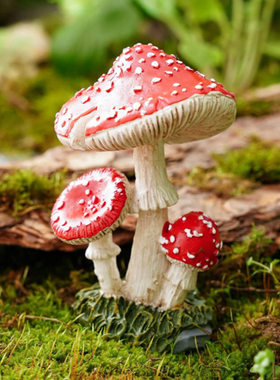 跨境创意苔藓微景观三连