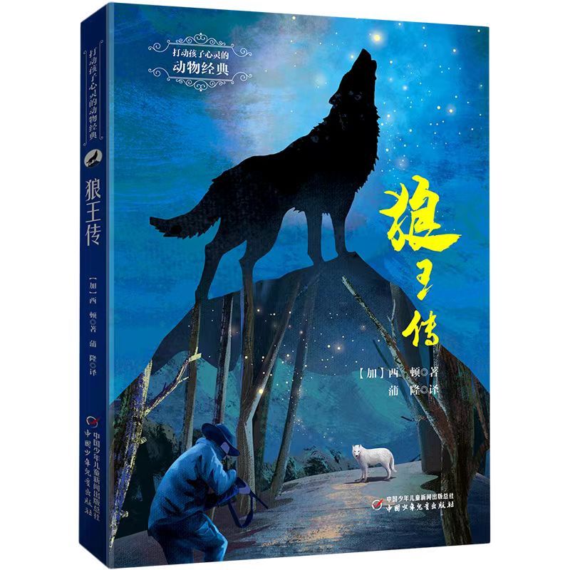 打动孩子心灵经典王传