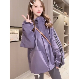 美式 连帽三条杠冲锋衣外套女秋冬2023新爆款 宽松设计感运动夹克衫