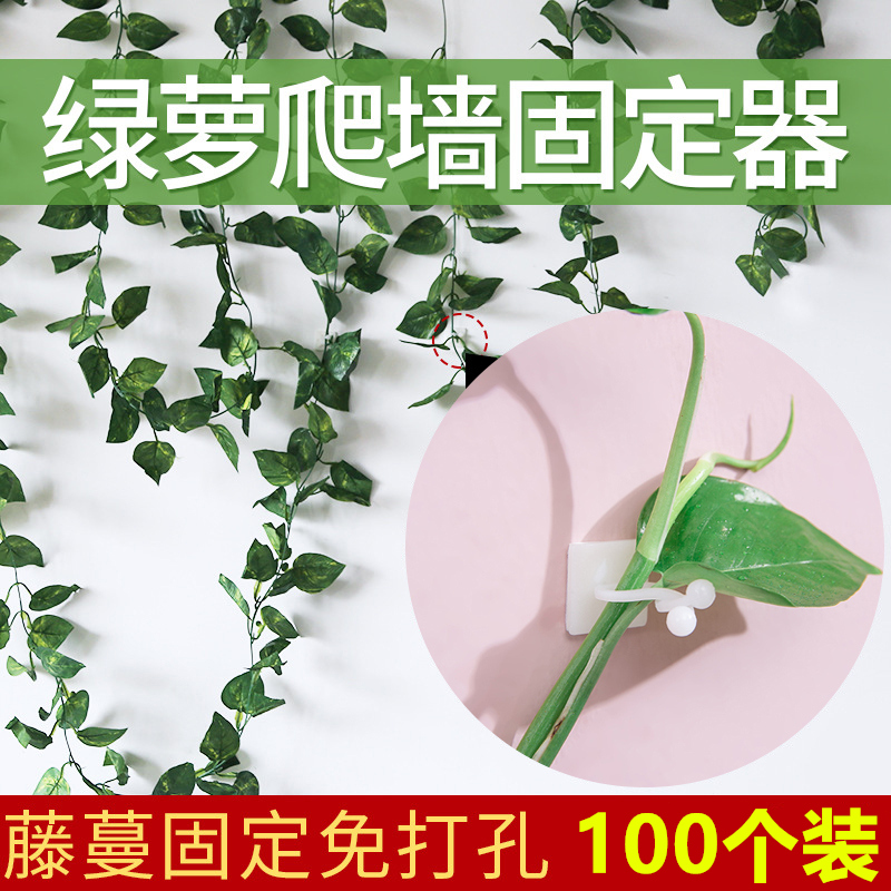 绿萝爬墙神器绿箩固定爬上固定夹攀爬挂钩绿罗扣环无痕绿植固定器