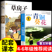 青铜葵花正版曹文轩完整版 草房子全套四年级下册至五年级六下册课外书老师阅读书籍必读正版经典书目推荐的青铜奎花4下获奖作品