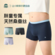 速干透气 10A抑菌大童四角裤 云感内裤 奕时代胖男童桑蚕丝内裤