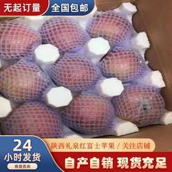 红富士苹果【陕西礼泉苹果之乡】大量购优惠