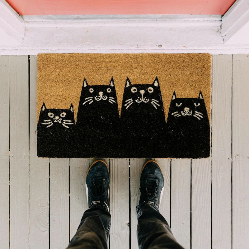 可爱猫除尘蹭土椰棕脚垫礼物门垫