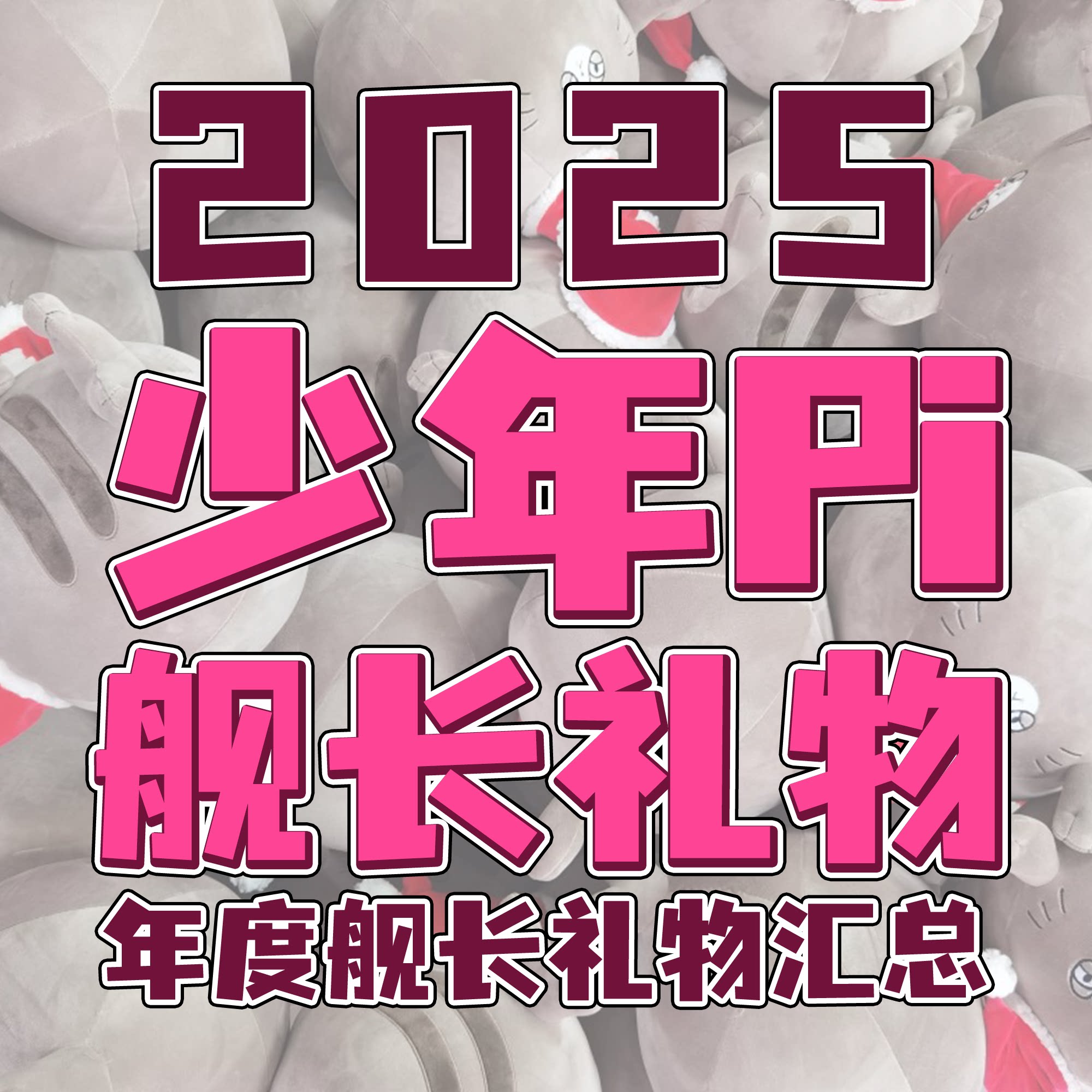 【少年Pi】2025年度舰长礼物汇总