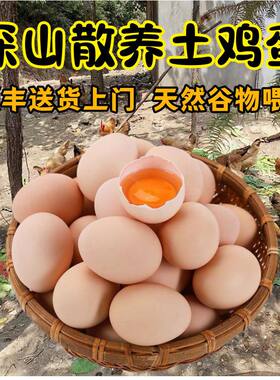 10枚-100枚鸡蛋农家散养新鲜土鸡蛋正宗绿壳乌鸡蛋柴鸡蛋虫草鸡蛋