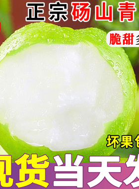 正宗砀山青梨新鲜水果当季孕妇水果脆甜多汁青皮梨酥脆雪梨皇冠梨