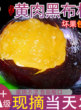 黑布林现摘黄心李子黑宝石蜜李甜