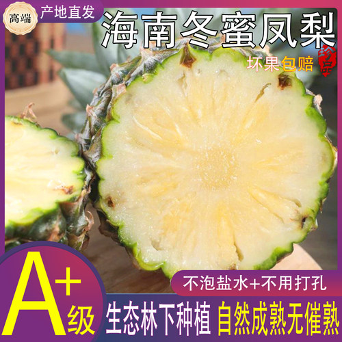 海南冬蜜凤梨台农13号树上熟脆甜