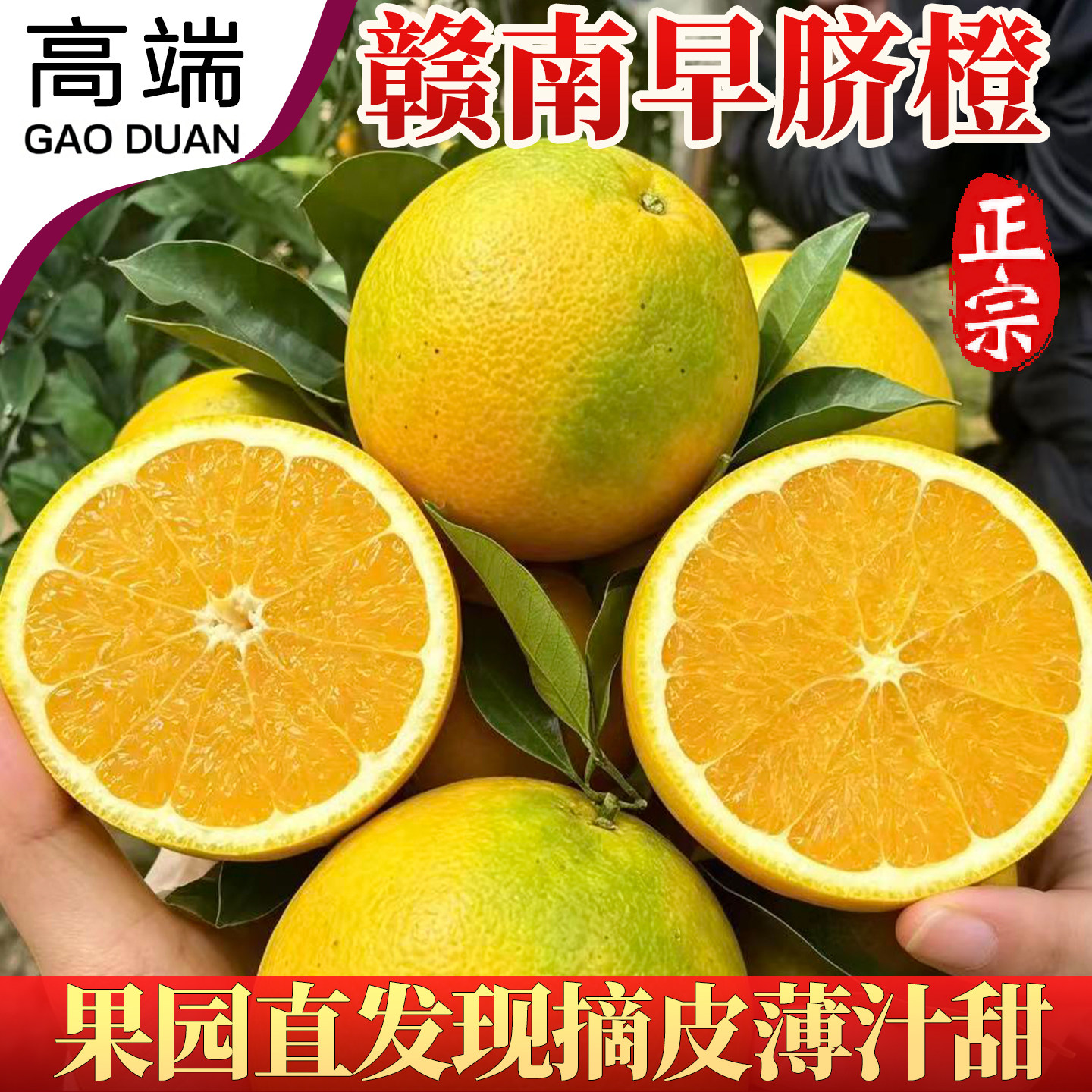 正宗江西赣南早脐橙新鲜水果榨橙汁手剥澄皮薄多汁清甜可口孕妇润