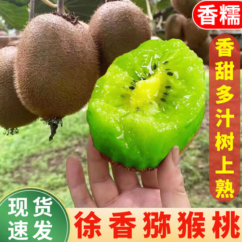 正宗徐香猕猴桃新鲜当季孕妇水果产地直发奇异果湖南绿心猕猴桃甜
