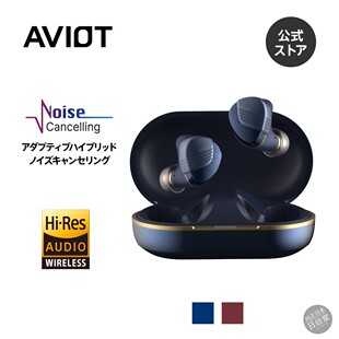 日本代购 AVIOT TE-W1 Hi-Res认证LDAC主动降噪入耳式真无线耳机
