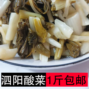 苏北宿迁酸菜泗阳特产酸菜羊肉泗阳泗洪沭阳自家新鲜酸菜自制酸菜