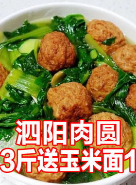 苏北泗阳泗洪沭阳宿迁洋河特产肉圆手工肉圆新鲜油炸肉丸子纯手工