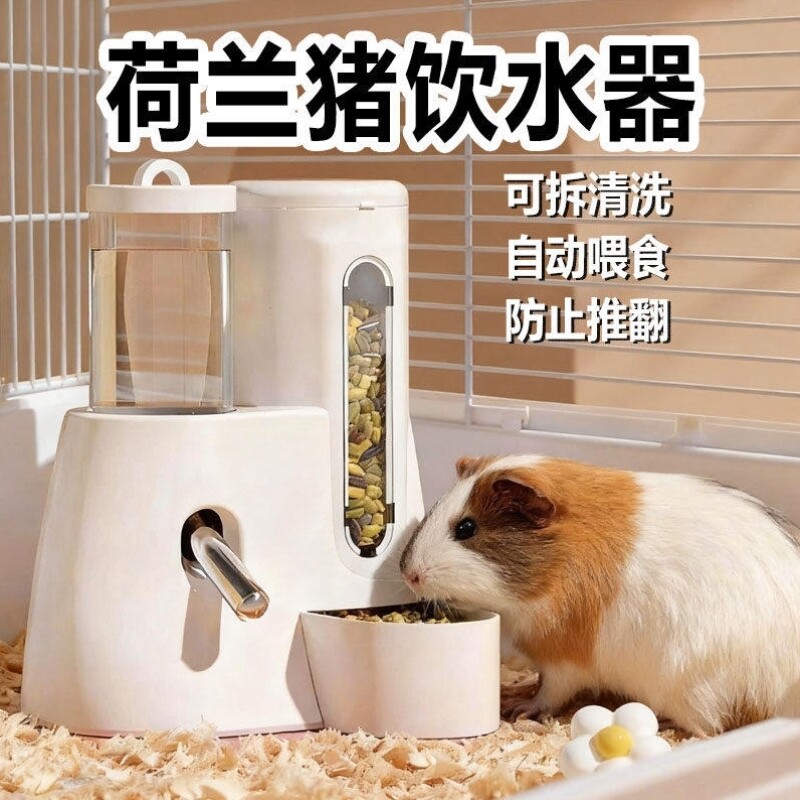 荷兰猪饮水器喂食器二合一豚鼠滚珠喝水大容量食盆喂水器宠物用品