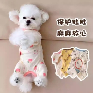 狗狗衣服四季宠物包肚衣泰迪比熊绝育服母猫咪手术护肚子秋冬