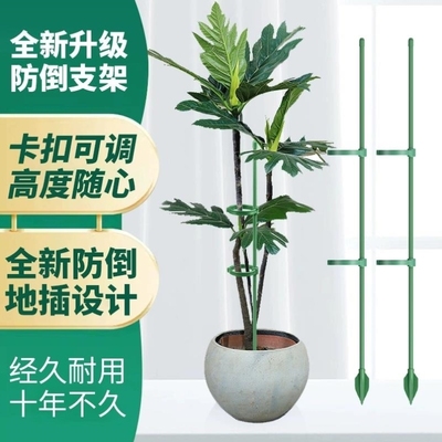 园艺支撑杆花架固定器龟背竹花支架固定花神器植物花杆爬藤防倒伏
