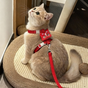 猫咪牵引绳遛猫绳防挣脱不勒脖外出专用猫抱婴袋幼猫工字型拴猫绳