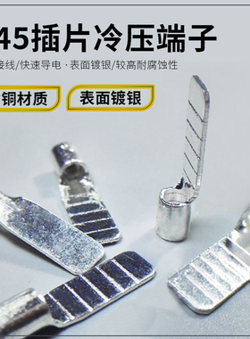 C45插片接线端子DZ47断路器紫铜镀银插针铜鼻子冷压焊接插拔式