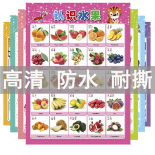 宝宝挂图幼儿童0-3岁早教拼音挂图无声认知启蒙识字挂图数字卡片