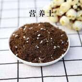 花卉绿植虎皮兰通用营养土花卉绿植