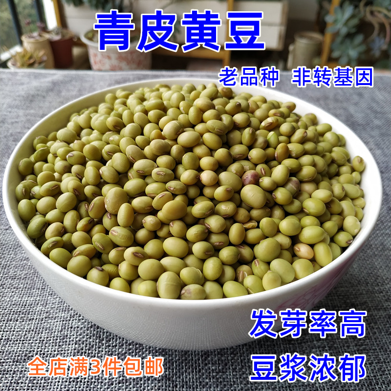 广西巴马特产青皮黄豆500克 农家自种自产土青皮豆老品种非转基因