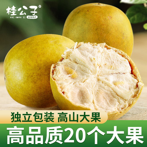 桂林永福罗汉果果干独立包装泡茶