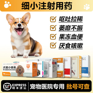 狗细小病毒治疗套餐犬瘟病毒抗菌狗瘟单抗干扰素犬瘟咳嗽幼犬细小