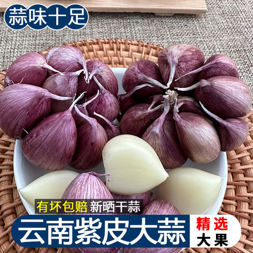 云南紫皮大蒜香辣腊八多瓣中大果