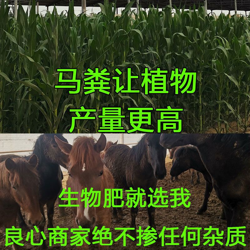 纯干马粪肥料酵有机生物肥农家肥种菜养花盆栽绿植鸡羊牛营养土