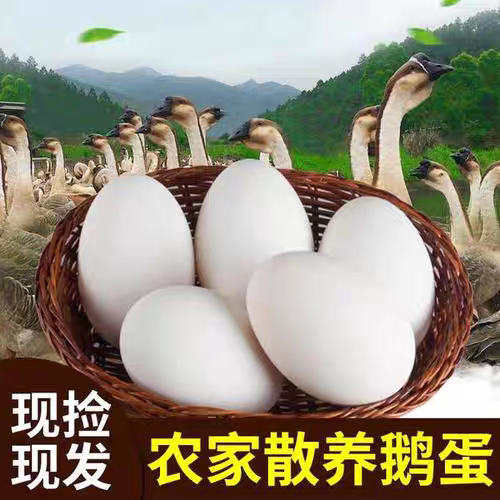 80--100克小鹅蛋散养笨鸡蛋新鲜土鸡蛋正宗草鸡蛋谷物蛋儿童孕妇