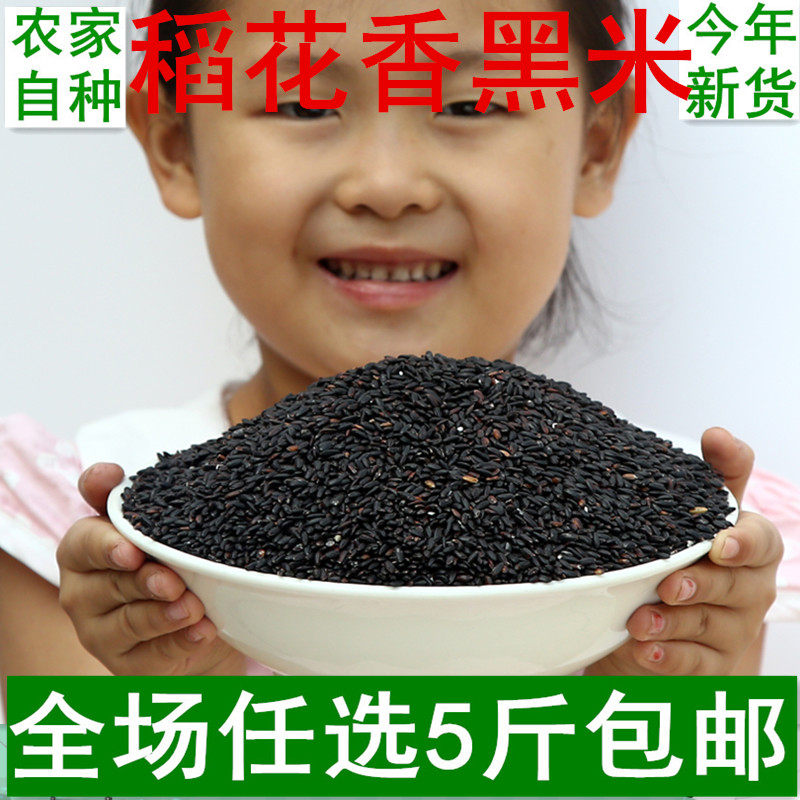 黑米杂粮 东北黑糯米新米农家黑大米黑香米黑米粥原料散装500g