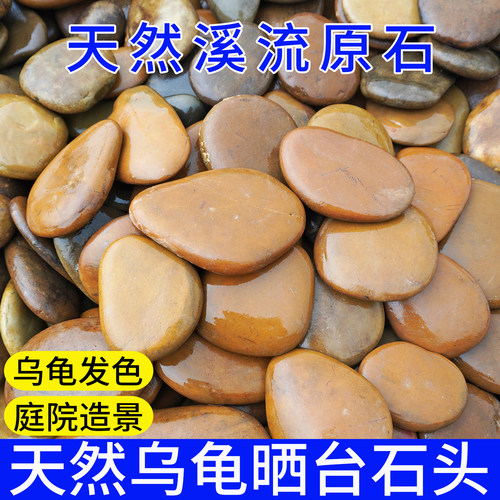 天然鹅卵石龟缸造景晒台发色