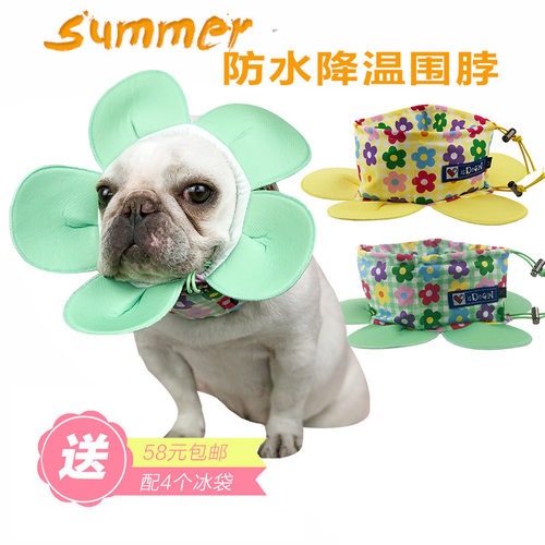 花朵降温围脖凉凉衣宠物狗狗