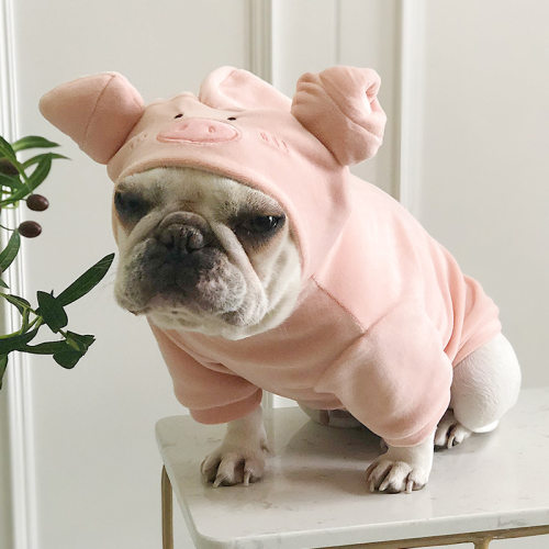 动物造型宠物衣服荷兰猪搞怪法斗