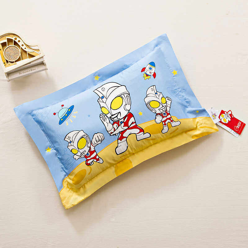 纯棉正品卡通儿童枕头3-6岁9小学生幼儿园午睡专用四季通用枕芯套