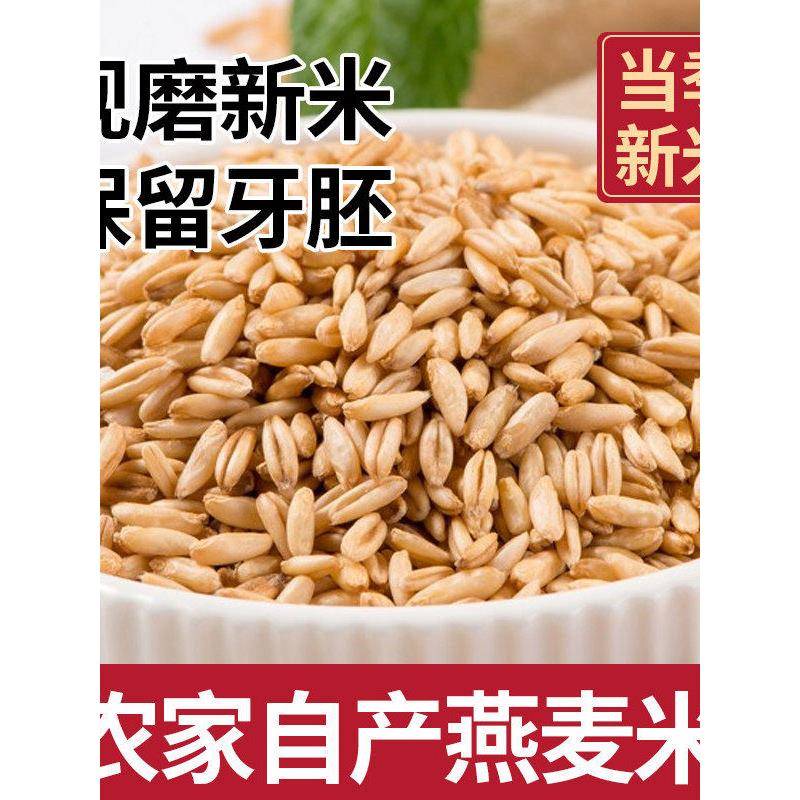 营养燕麦米新米农家糙米五谷杂粮全胚芽米代餐可煮粥煲饭健康粗粮