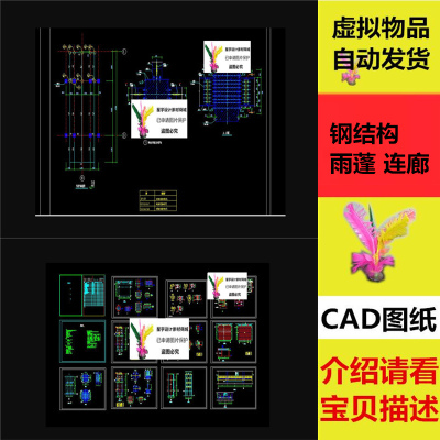 钢结构雨蓬 连廊 平面布置图 CAD总图 CAD图纸