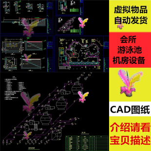 豪华休闲会所单个室外游泳池机房设备及给排水施工平面图CAD图纸