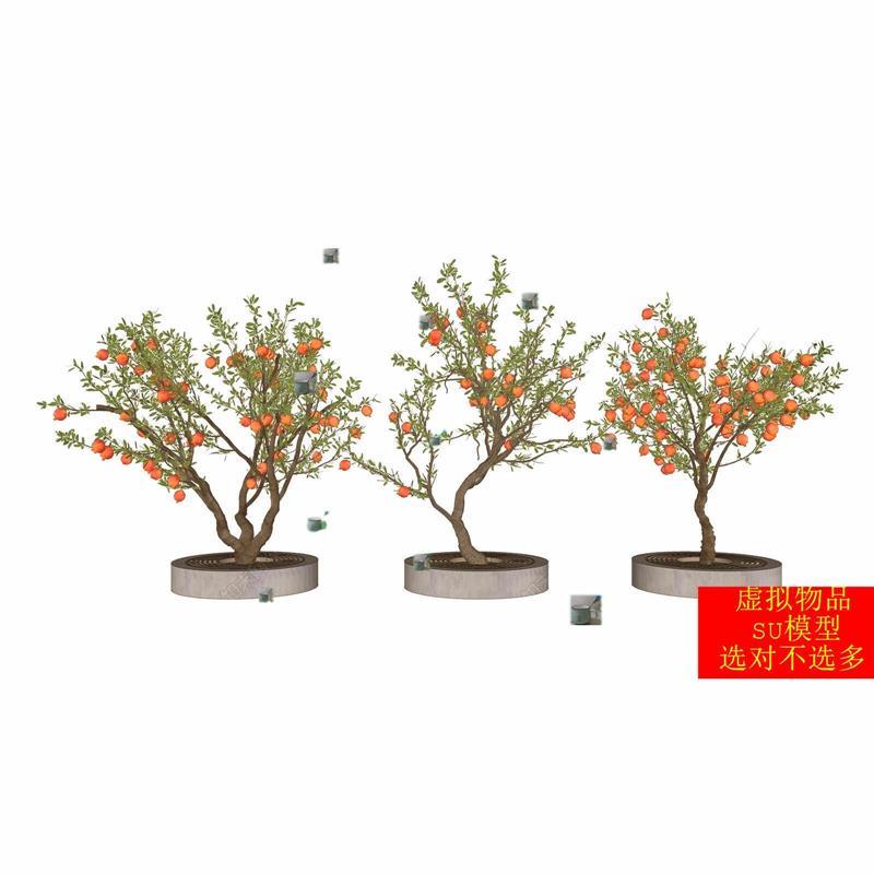 SU模型 景观树园林树庭院果树树池石榴树