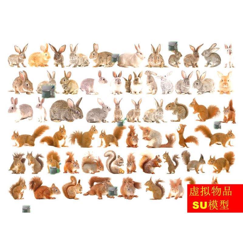 草图大师 SU模型 2D免子松鼠萌宠动物可爱动物小动物