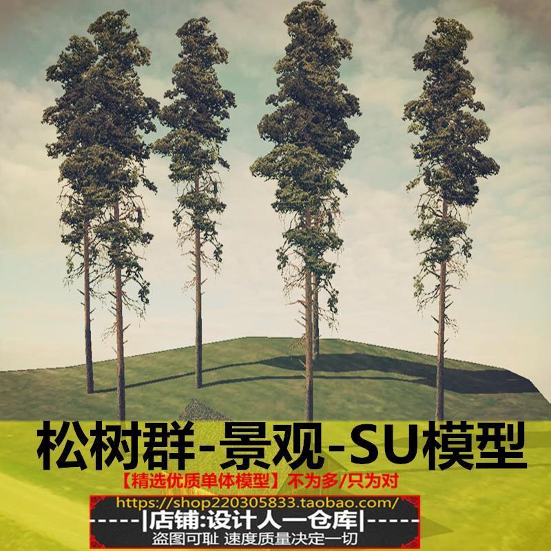 松树群 树木 干枯树枝 景观小品 公园园林配景 枯树 3D贴图SU模型